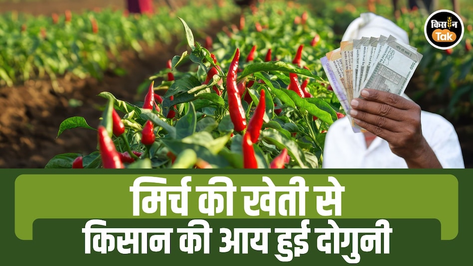 पारंपरिक खेती छोड़ मिर्च की खेती अपनाई, 2 बीघा में ₹2.5 लाख कमाकर किसान बना मिसाल पारंपरिक खेती छोड़ मिर्च की खेती अपनाई, 2 बीघा में ₹2.5 लाख कमाकर किसान बना मिसाल