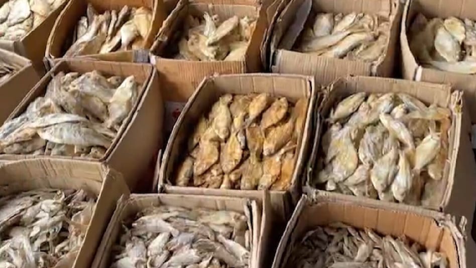 Dry Fish: बरसात में भी साइंटीफिक तरीके से सूखेंगी मछलियां, ये है खास तरीका Dry Fish: बरसात में भी साइंटीफिक तरीके से सूखेंगी मछलियां, ये है खास तरीका
