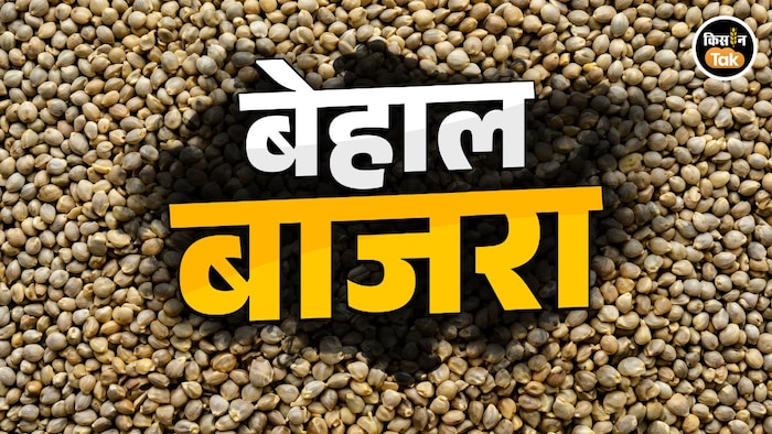El Nino Impact Bajra Price