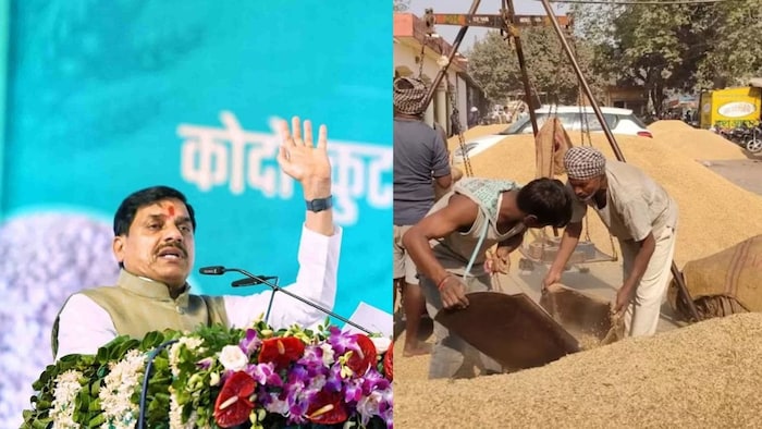 CM डॉ. मोहन यादव