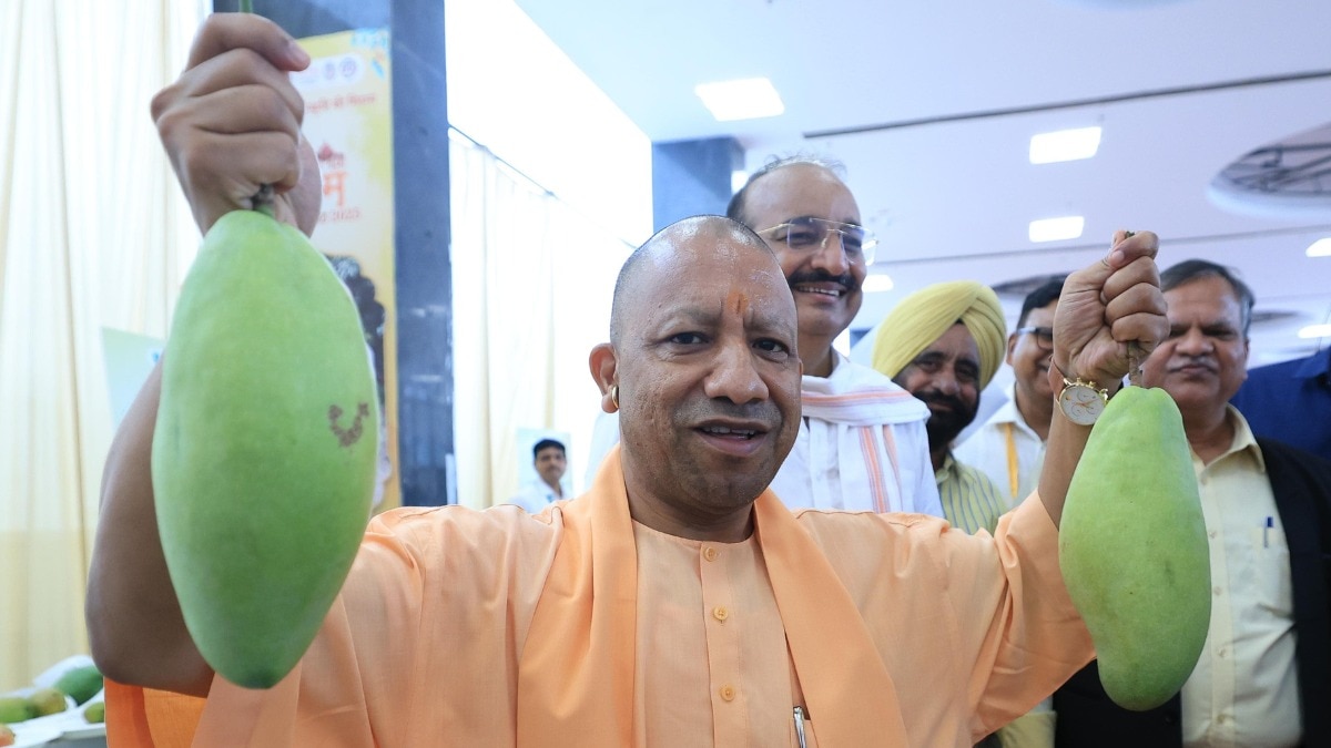  मुख्यमंत्री योगी आदित्यनाथ (File Photo)