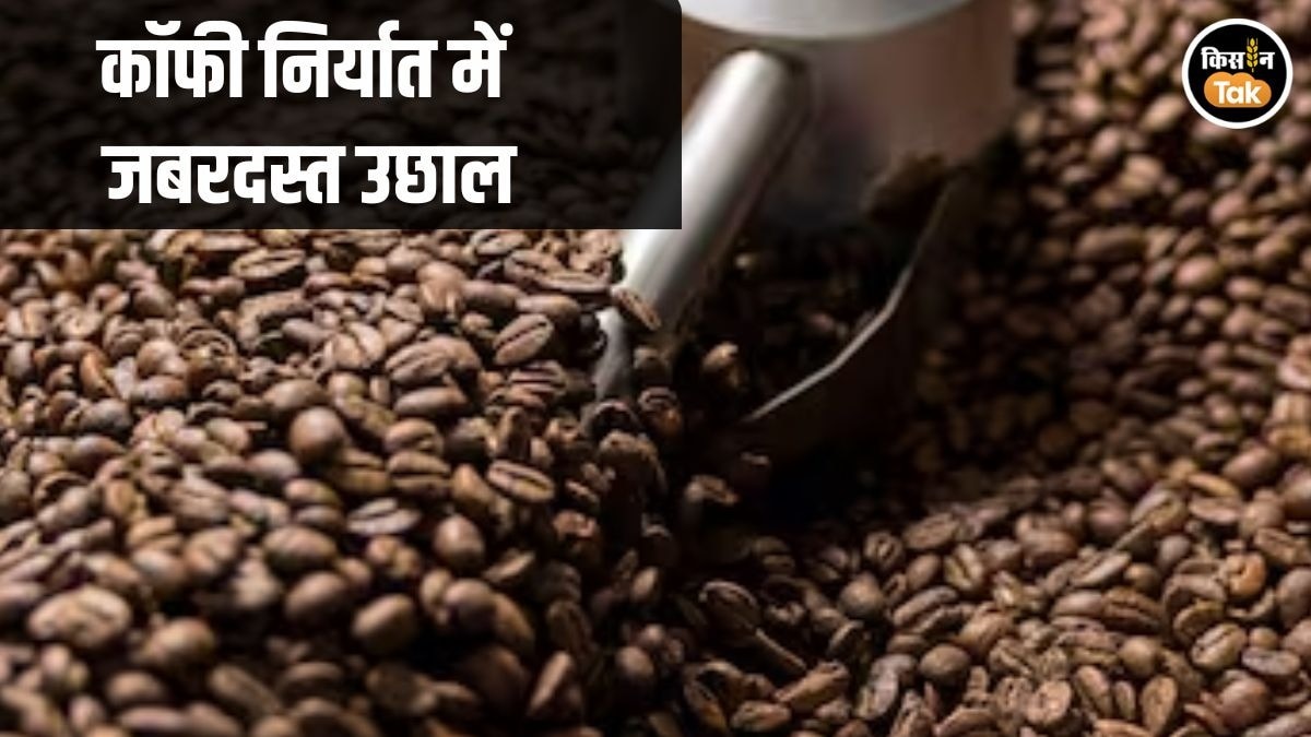 Coffee Export