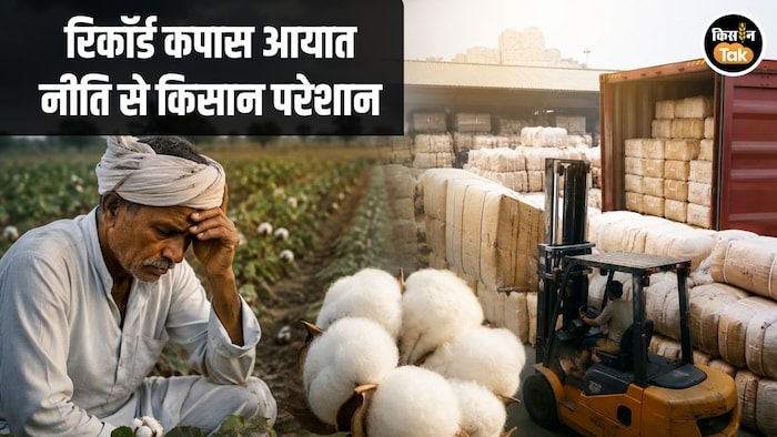 Cotton Import Issue