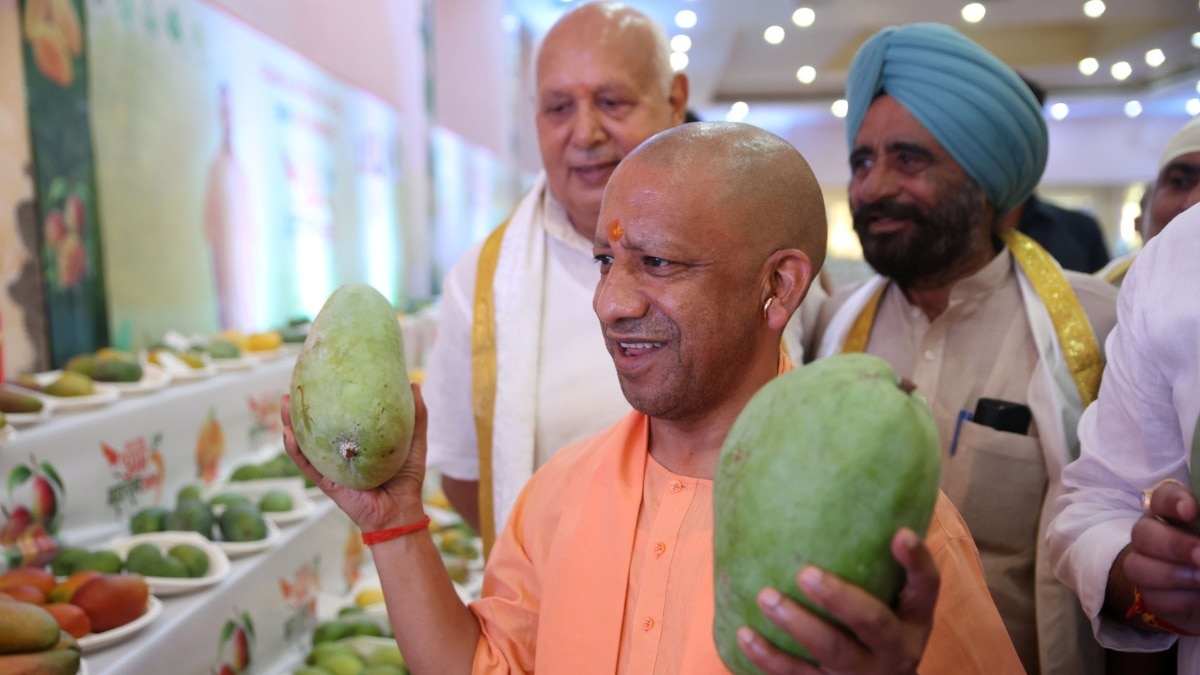 यूपी को बनाएंगे विश्व का सर्वश्रेष्ठ मैंगो वैल्यू चेन, सभी आमों को मिलेगा GI टैग- सीएम योगी आदित्यनाथ