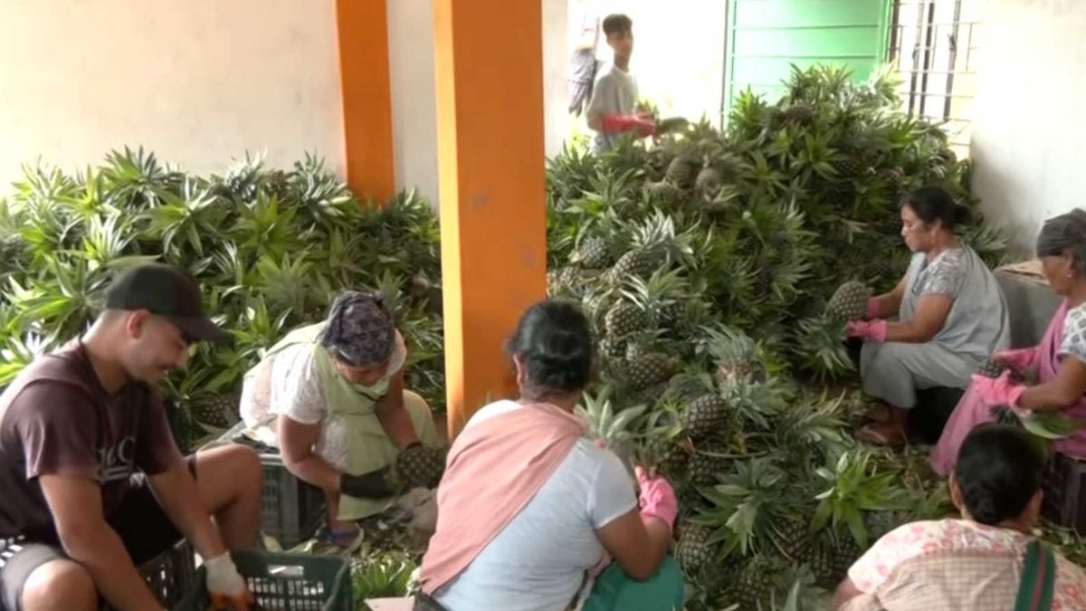 Meghalaya Jirang FPC Success Story