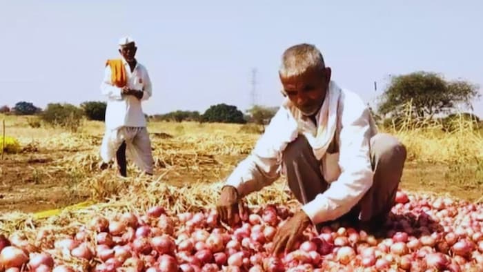 The opposition Maha Vikas Aghadi (MVA) has seized the opportunity to criticise the Mahayuti government, particularly over the low prices for soybean, which affect more farmers than onions.