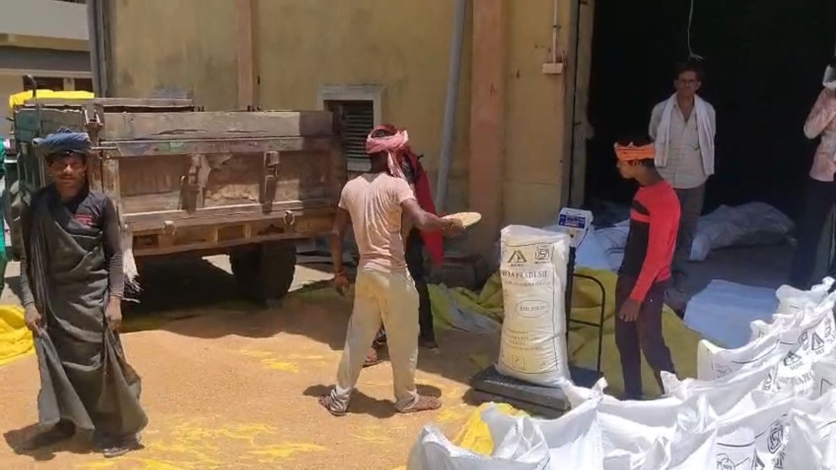 गेहूं खरीदी में गड़बड़ी पर बड़ा एक्शन
