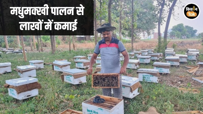 beekeeper chitaranhan gayaji
