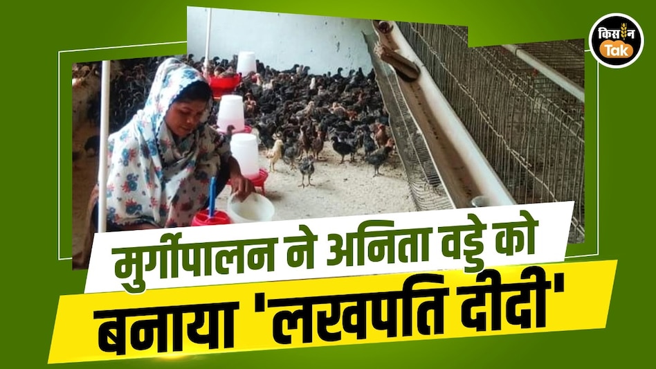 मुर्गीपालन ने अनिता वड्डे को बनाया 'लखपति दीदी', बनीं ग्रामीण महिलाओं की प्रेरणा मुर्गीपालन ने अनिता वड्डे को बनाया 'लखपति दीदी', बनीं ग्रामीण महिलाओं की प्रेरणा