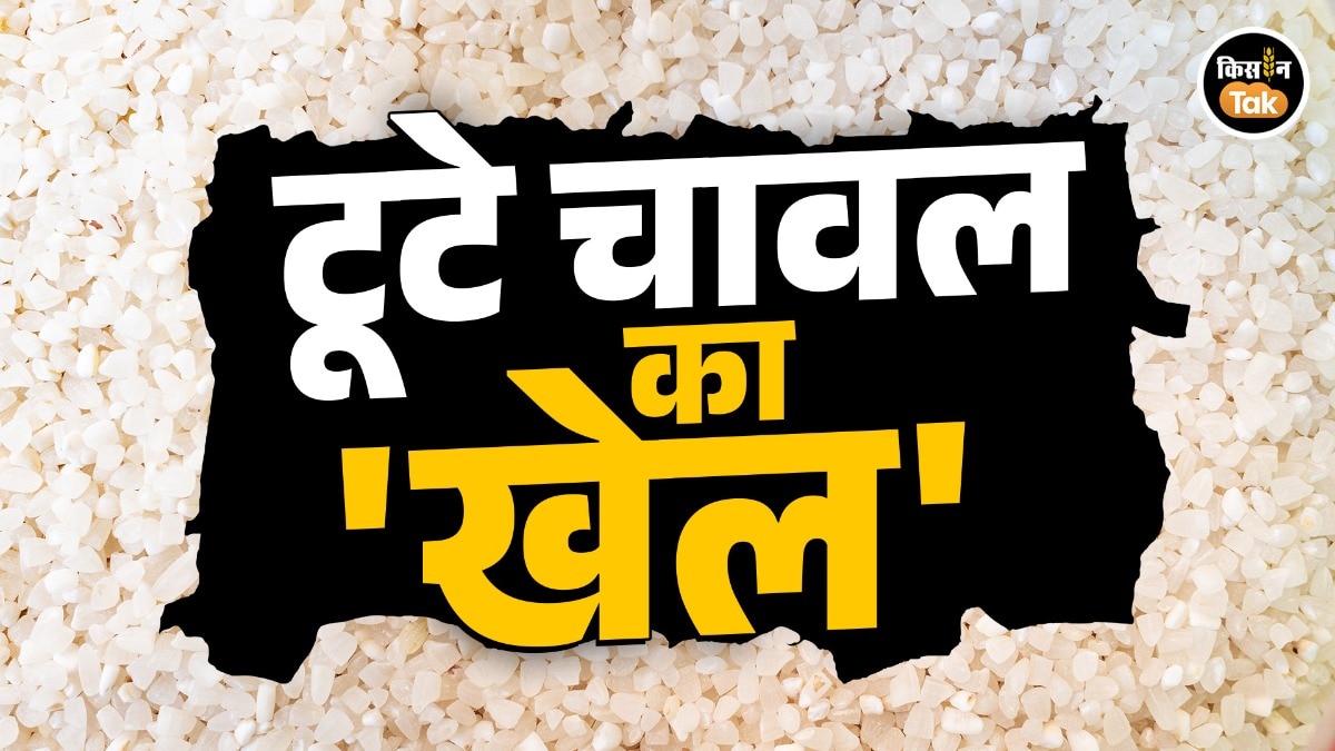 गरीबों के नाम पर इथेनॉल कंपनियों की चांदी, धान महंगा-तैयार चावल सस्ता...ये कैसा अर्थशास्त्र?