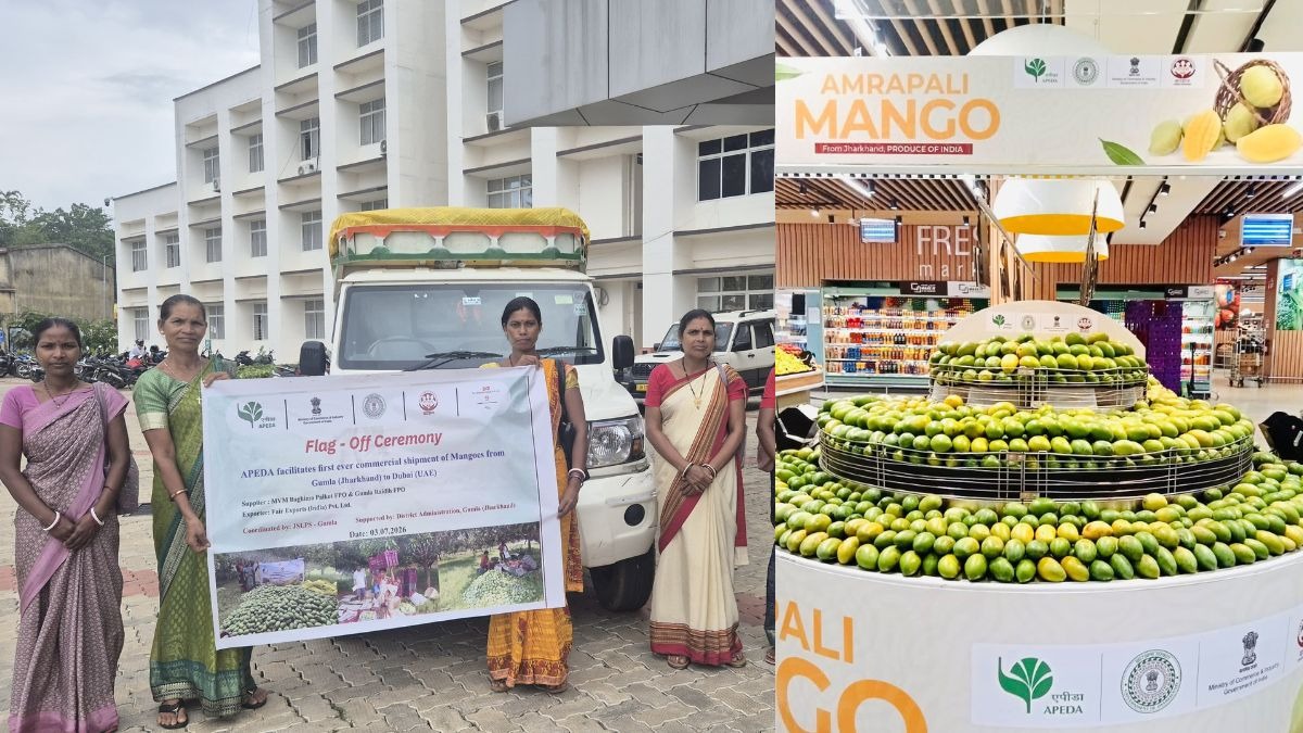 Jharkhand Mango Export Dubai