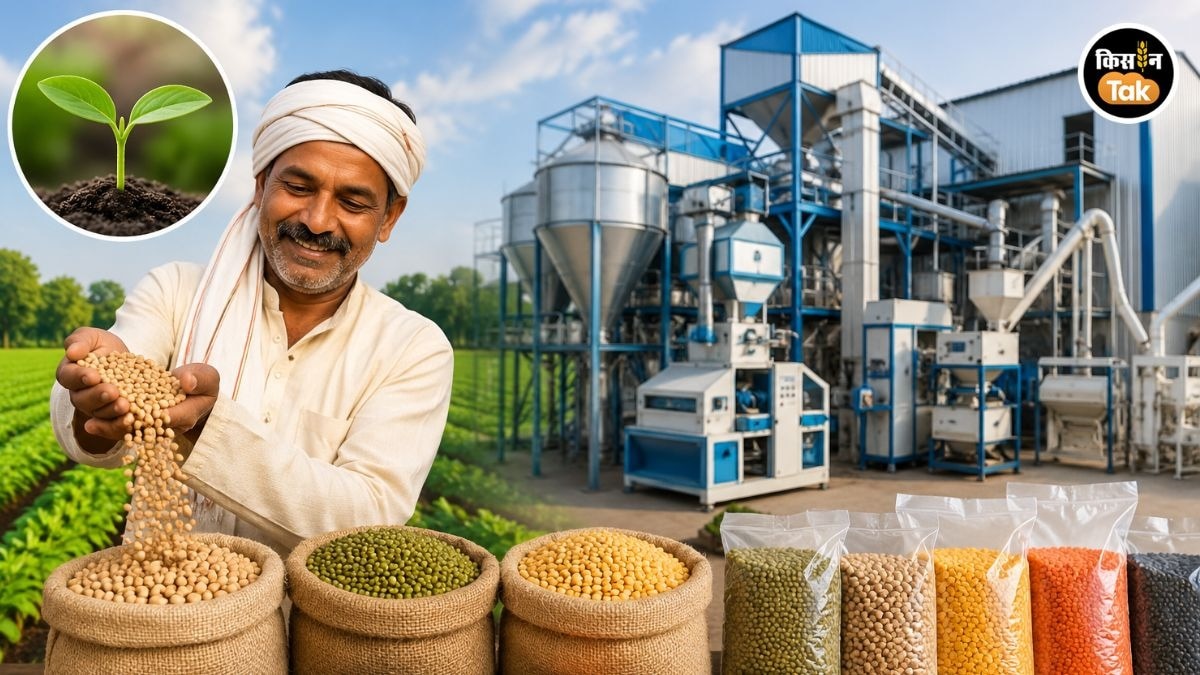 Rajasthan Dalhan Processing Unit Subsidy Scheme
