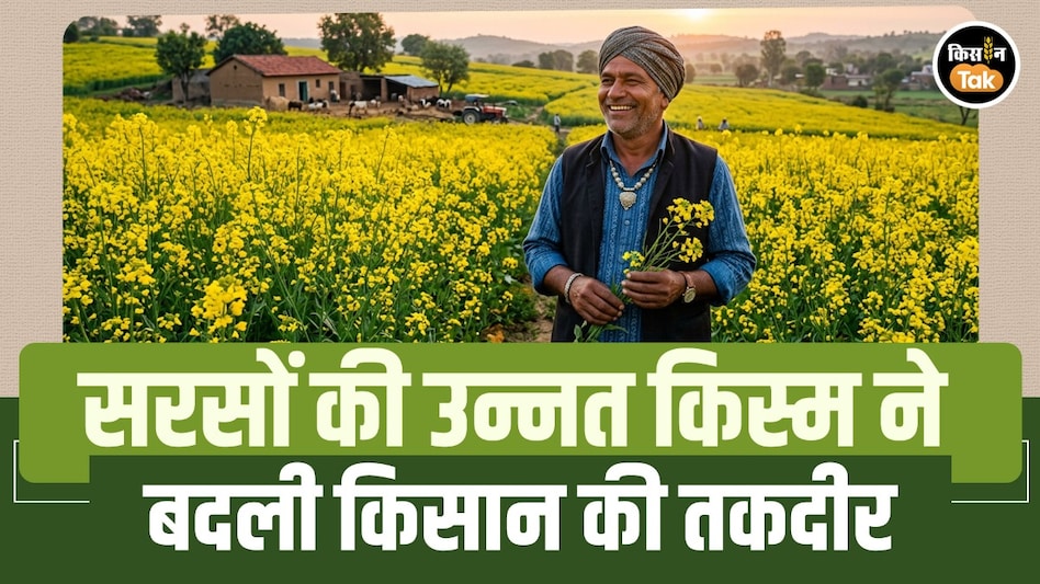 उन्नत सरसों की खेती से बदली किसान की तकदीर, एक हेक्टेयर में 1 लाख रुपये से अधिक का शुद्ध मुनाफा उन्नत सरसों की खेती से बदली किसान की तकदीर, एक हेक्टेयर में 1 लाख रुपये से अधिक का शुद्ध मुनाफा