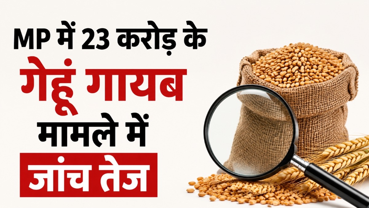 23 करोड़ के गेहूं गायब होने पर सरकार का एक्शन, जांच में खंगाली जाएगी पूरी सप्लाई चेन