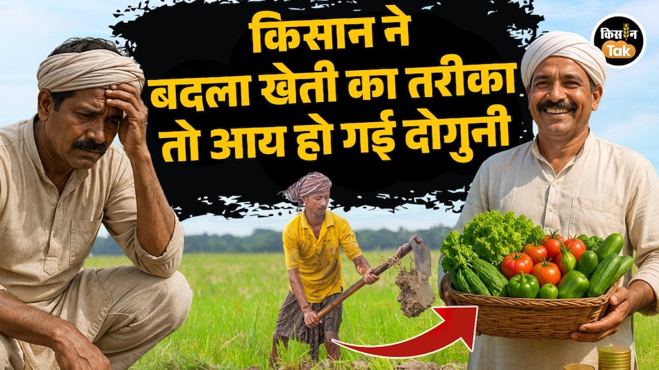 धान पर निर्भर किसान ने बदली खेती की रणनीति, आधुनिक तकनीक अपनाकर खगपति ने दोगुनी कर ली आय धान पर निर्भर किसान ने बदली खेती की रणनीति, आधुनिक तकनीक अपनाकर खगपति ने दोगुनी कर ली आय