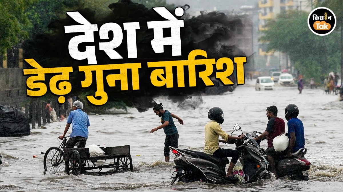जुलाई की शुरुआत में मूसलाधार बारिश:
