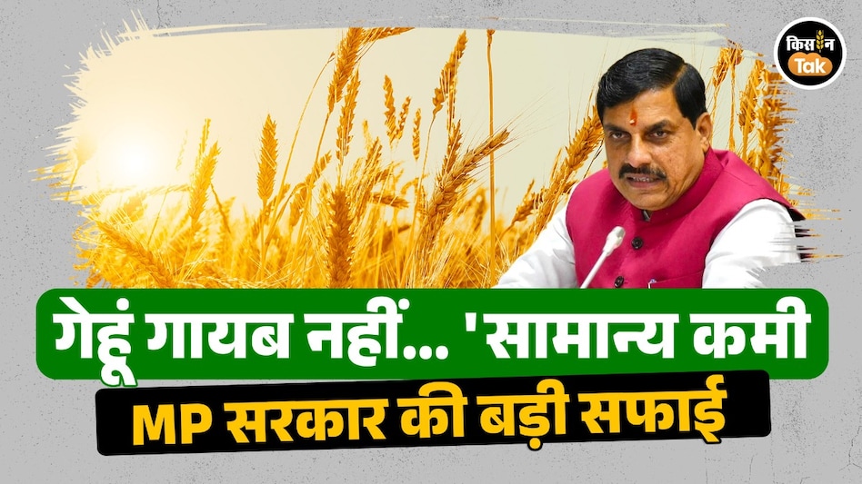 MP में '86 हजार क्विंटल गेहूं गायब' विवाद पर सरकार का जवाब, कहा- भंडारण के दौरान कमी आना सामान्य प्रक्रिया MP में '86 हजार क्विंटल गेहूं गायब' विवाद पर सरकार का जवाब, कहा- भंडारण के दौरान कमी आना सामान्य प्रक्रिया