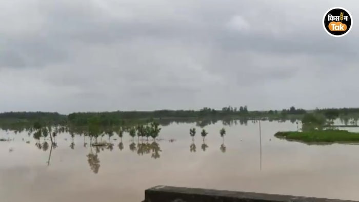 Muzaffarnagar Flood in ground areas