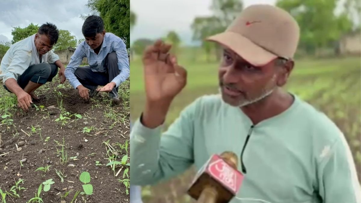 'किसान तक' की खबर का असर, सोयाबीन बीज घोटाले में बड़ी कार्रवाई, बीजों की बिक्री पर लगी रोक