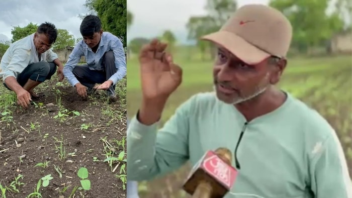 सोयाबीन बीज घोटाला