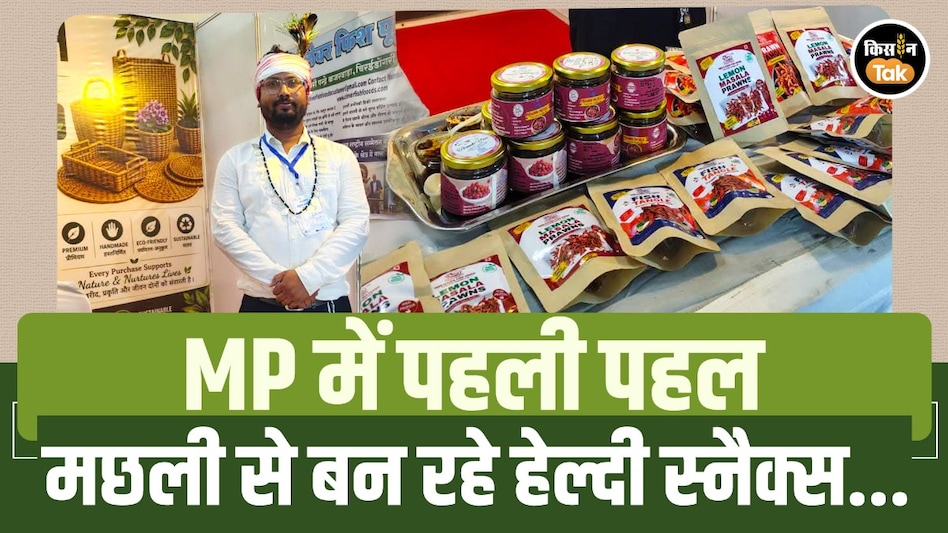 मंडला के युवा का अनोखा स्टार्टअप: मछली से बना रहे हेल्दी स्नैक्स, बिहार तक पहुंची फिश चिप्स और अचार की मांग मंडला के युवा का अनोखा स्टार्टअप: मछली से बना रहे हेल्दी स्नैक्स, बिहार तक पहुंची फिश चिप्स और अचार की मांग