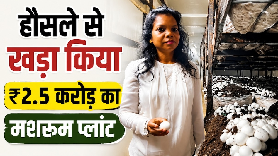 थाईलैंड से पढ़ाई, सोलन से ट्रेनिंग... फिर भोपाल में खड़ा कर दिया 2.5 करोड़ का मशरूम प्लांट थाईलैंड से पढ़ाई, सोलन से ट्रेनिंग... फिर भोपाल में खड़ा कर दिया 2.5 करोड़ का मशरूम प्लांट