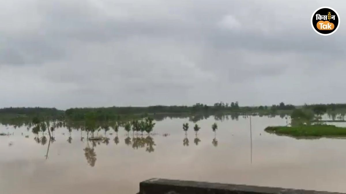Muzaffarnagar Flood in ground areas