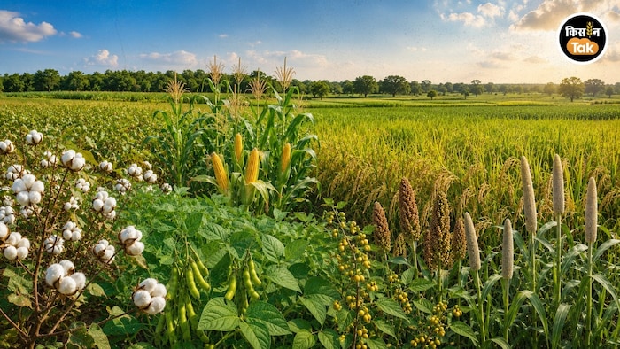 Rajasthan kharif sowing