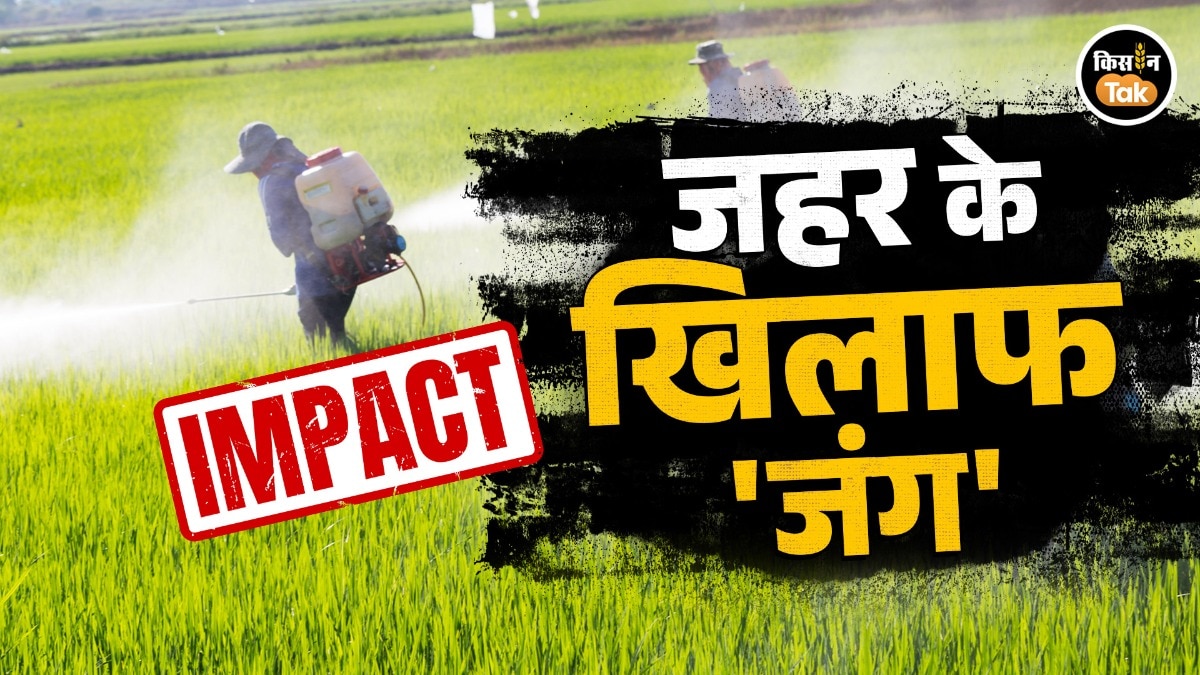 क‍ितना खतरनाक है पैराक्वाट डाइक्लोराइड? 