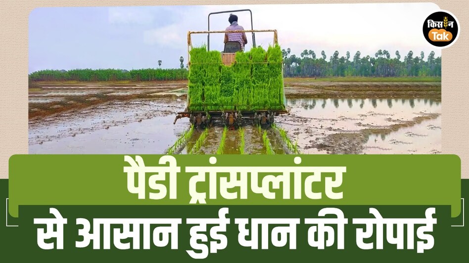 पैडी ट्रांसप्लांटर से आसान हुई धान की रोपाई, आधी लागत में बढ़ेगा उत्पादन; किसानों को भा रही आधुनिक तकनीक पैडी ट्रांसप्लांटर से आसान हुई धान की रोपाई, आधी लागत में बढ़ेगा उत्पादन; किसानों को भा रही आधुनिक तकनीक
