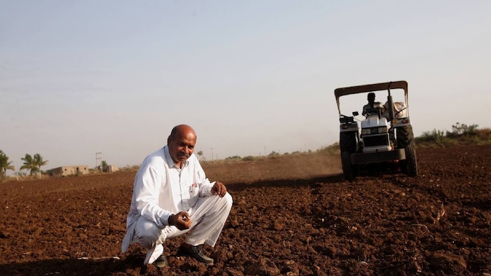 Marathwada Agriculture