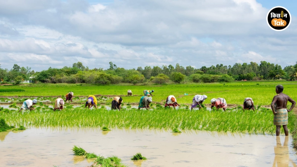 Agriculture Growth Rate