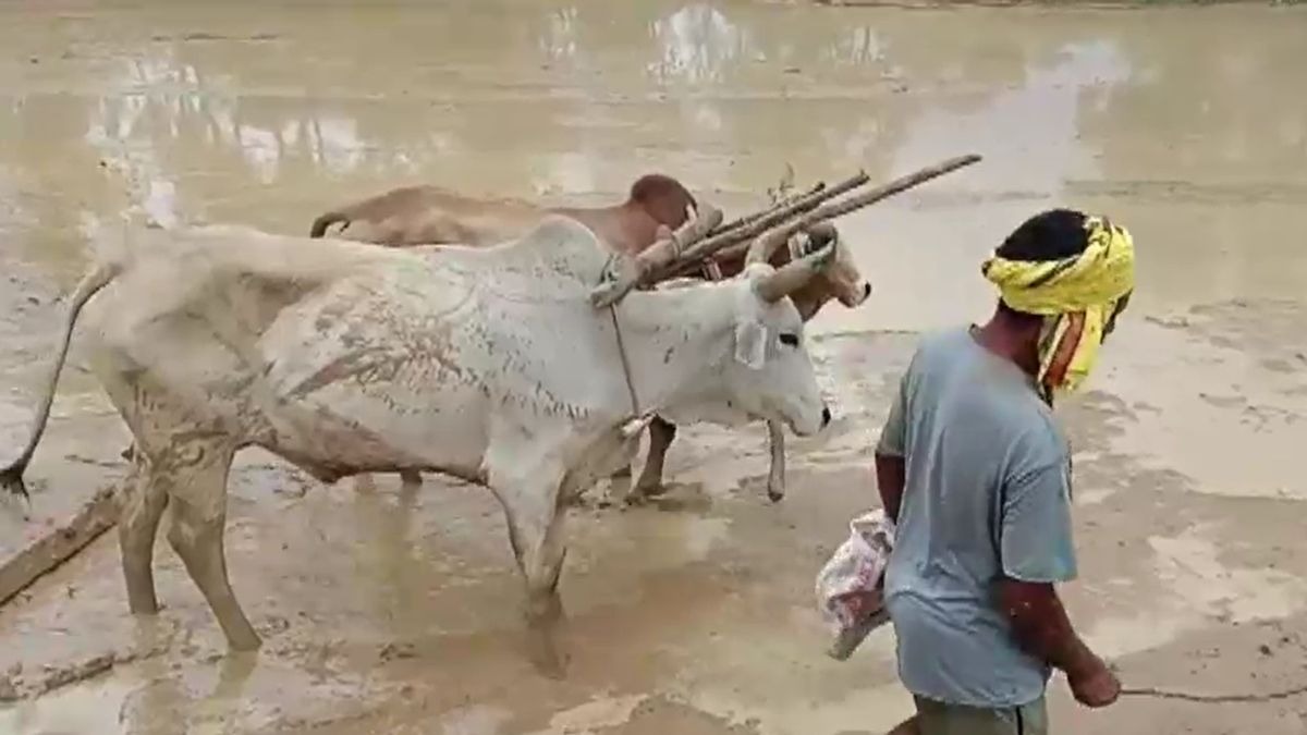 छत्तीसगढ़ में इस बार मॉनसून की धीमी रफ्तार