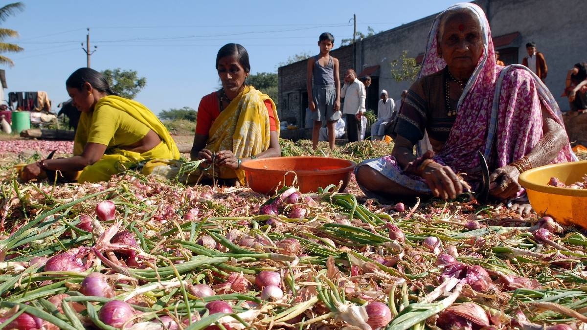 Arka Kalyan Onion