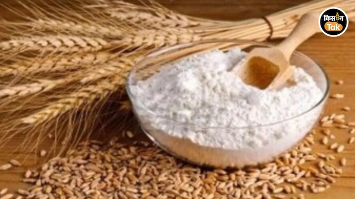 Pakistan Wheat Flour Crisis