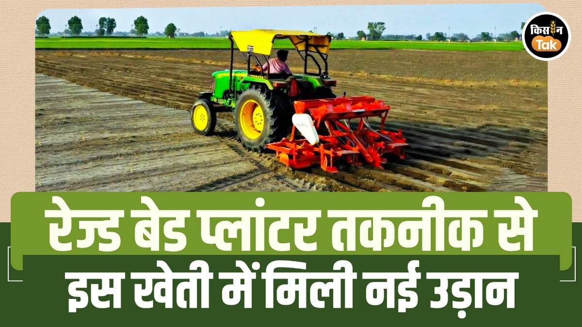रेज्ड बेड प्लांटर तकनीक से बदली सोयाबीन की किस्मत! किसान उपदेश शर्मा ने 3 बीघा में कमाया ₹1 लाख का शुद्ध मुनाफा