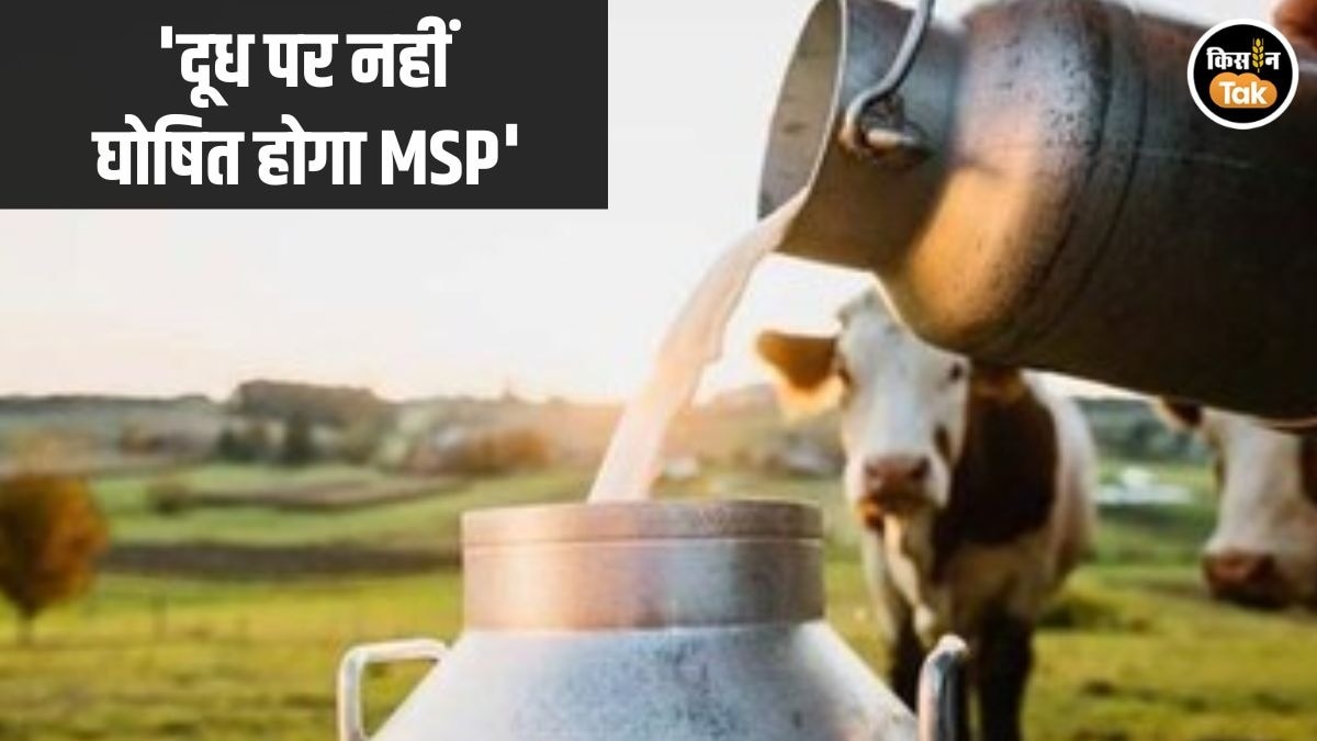 Milk MSP