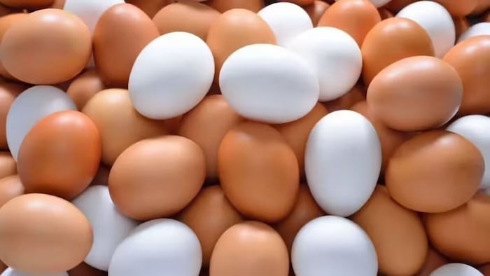 How to check if eggs are fresh or rotten