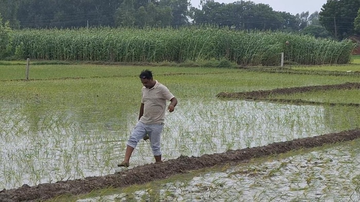 Amethi News Anti Land Mafia Campaign