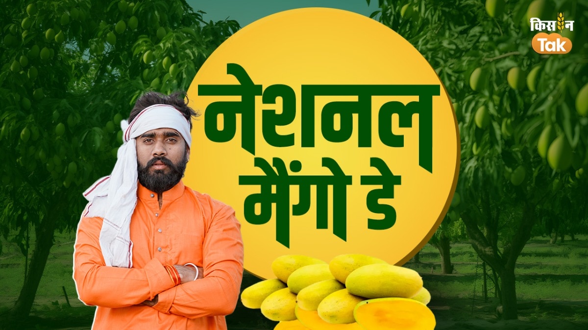 नेशनल मैंगो डे और फलों के राजा की कहानी
