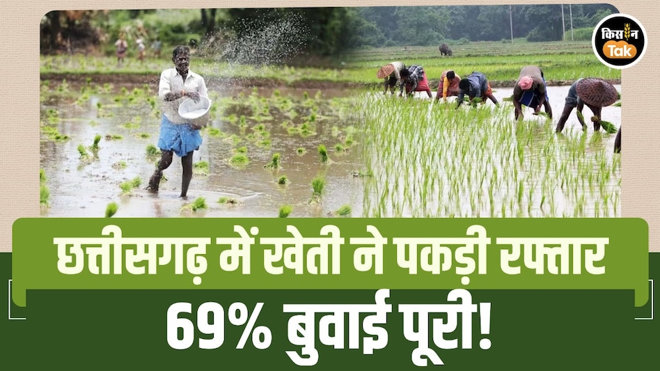 छत्तीसगढ़ में खेती ने पकड़ी रफ्तार! 69% बोनी पूरी, किसानों को मिली 9.22 लाख टन खाद और ₹6633 करोड़ का लोन छत्तीसगढ़ में खेती ने पकड़ी रफ्तार! 69% बोनी पूरी, किसानों को मिली 9.22 लाख टन खाद और ₹6633 करोड़ का लोन