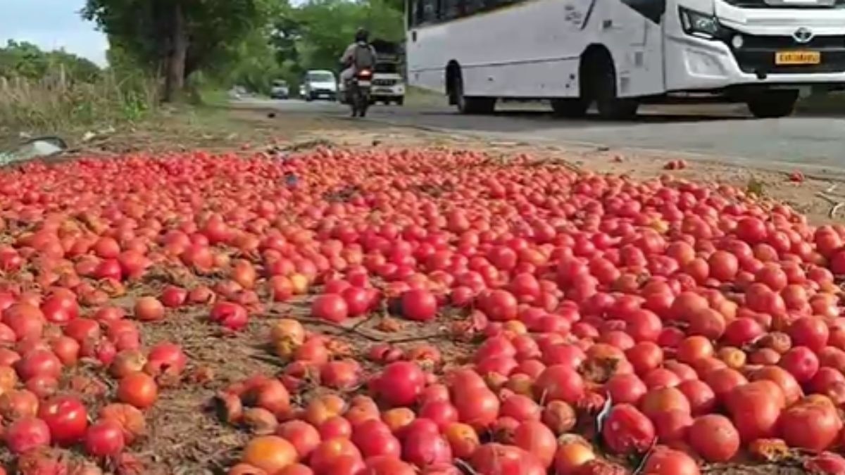 किसान ने उजाड़ दी पूरी फसल