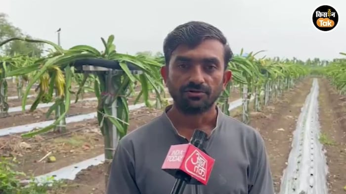 Dragon Fruit Farming Bhavnagar