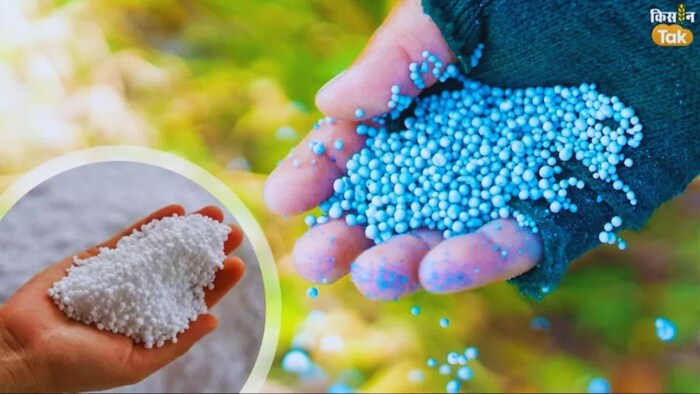 fertilizers overuse reason Niti Aayog VC