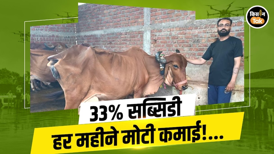सैलरी की टेंशन खत्म! 10 लाख के लोन से खड़ी की डेयरी, अब घर बैठे कमा रहे 75,000 रुपये महीने सैलरी की टेंशन खत्म! 10 लाख के लोन से खड़ी की डेयरी, अब घर बैठे कमा रहे 75,000 रुपये महीने
