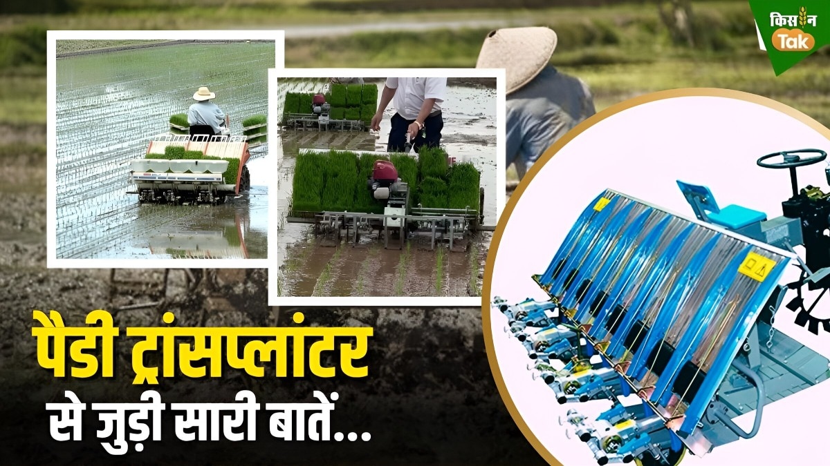 पैडी ट्रांसप्लांटर मशीन