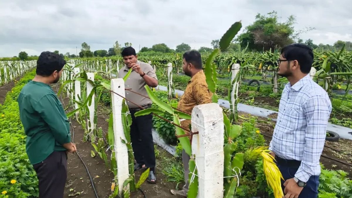 Neemuch Dragon Fruit and flower Farming