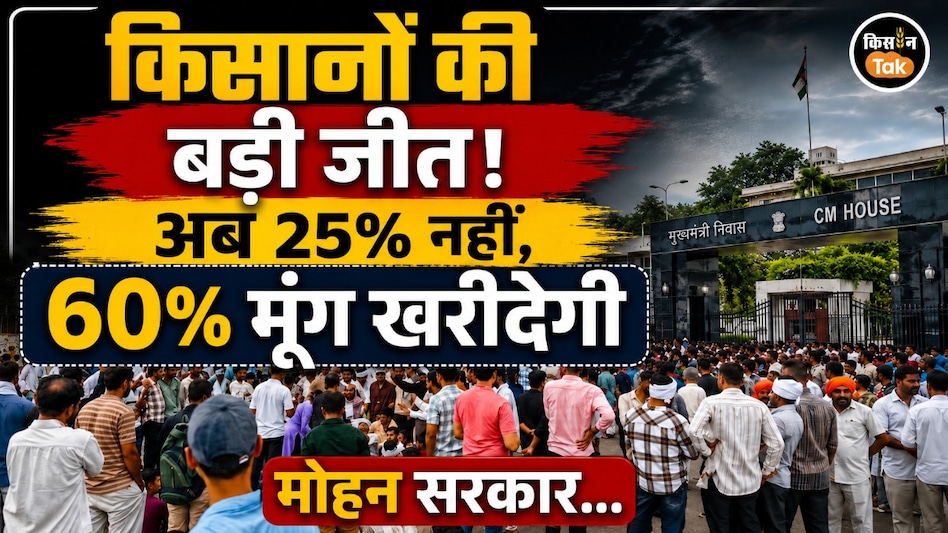 3 दिन के आंदोलन के आगे झुकी मोहन सरकार! 25% नहीं, अब 60% होगी MSP पर मूंग की खरीदी 3 दिन के आंदोलन के आगे झुकी मोहन सरकार! 25% नहीं, अब 60% होगी MSP पर मूंग की खरीदी