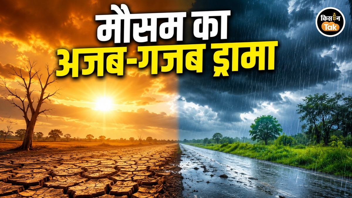 जून में सूखा, जुलाई में फुल-टू बारिश