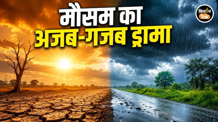 जून में सूखा, जुलाई में फुल-टू बारिश